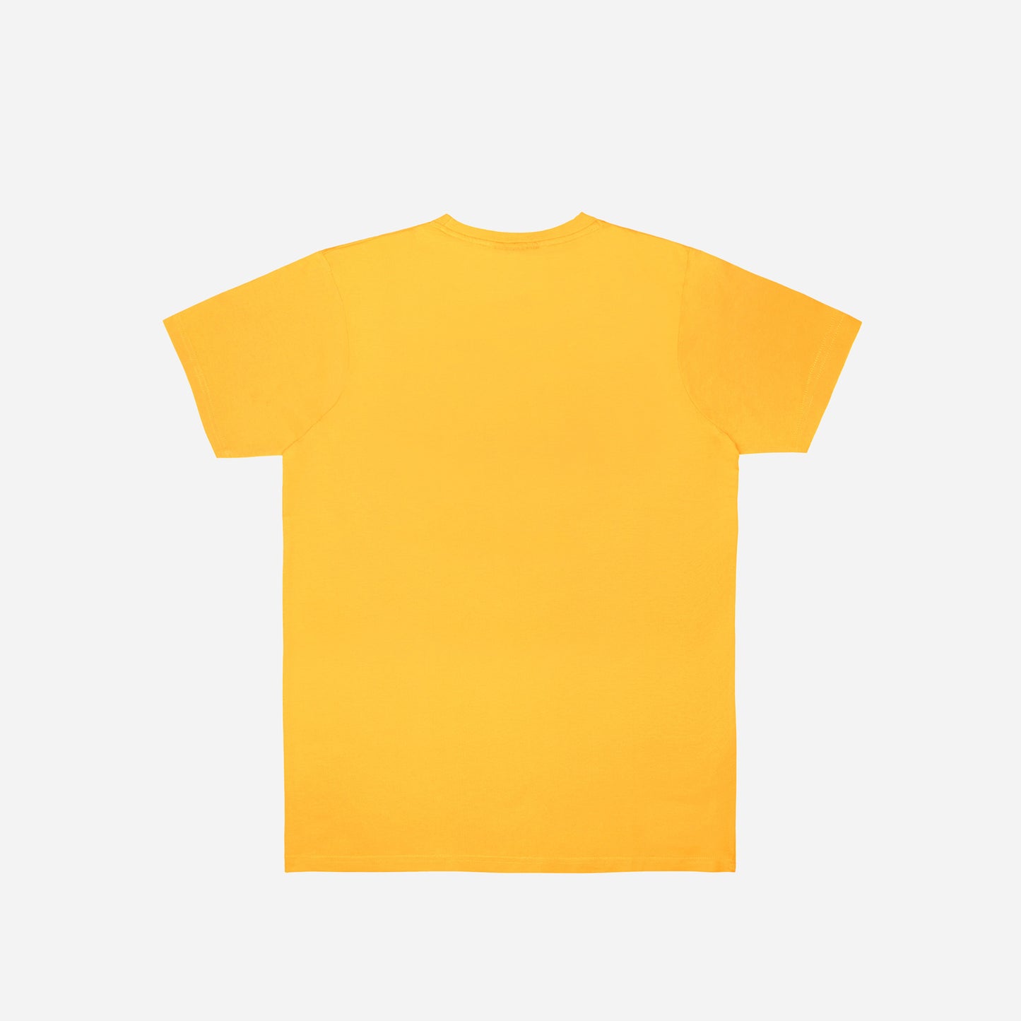 EXPLORER - T-SHIRT - YELLOW