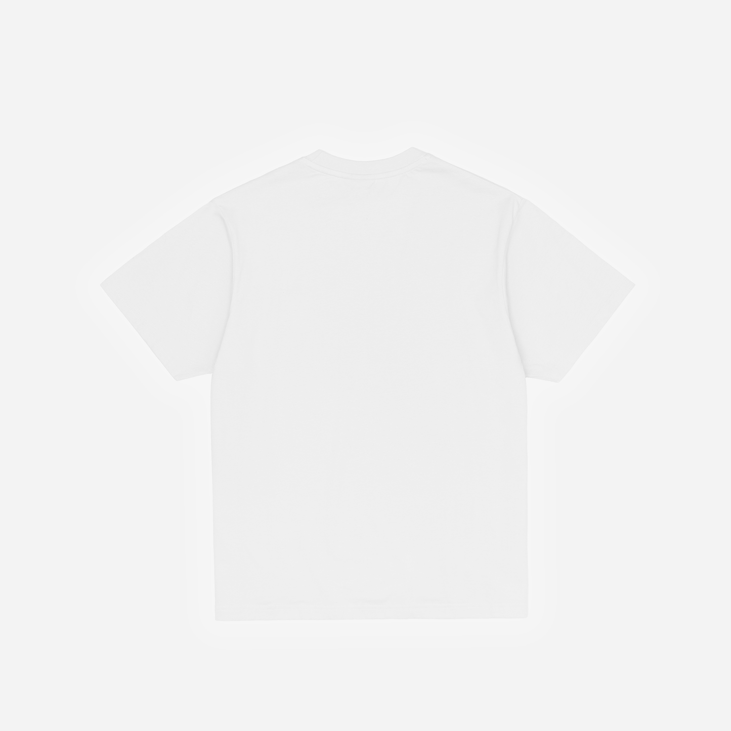 CLASSIC T-SHIRT - WHITE & BLUE