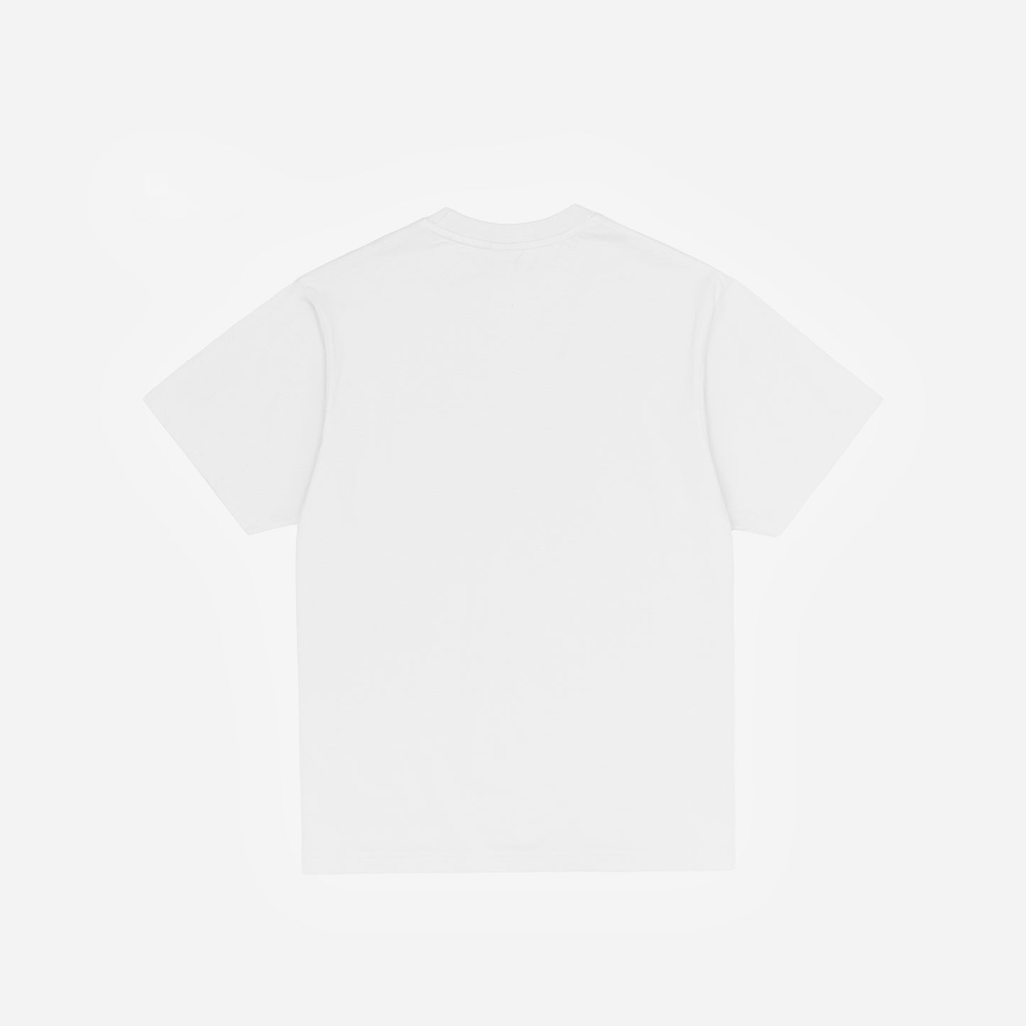 CLASSIC T-SHIRT - WHITE