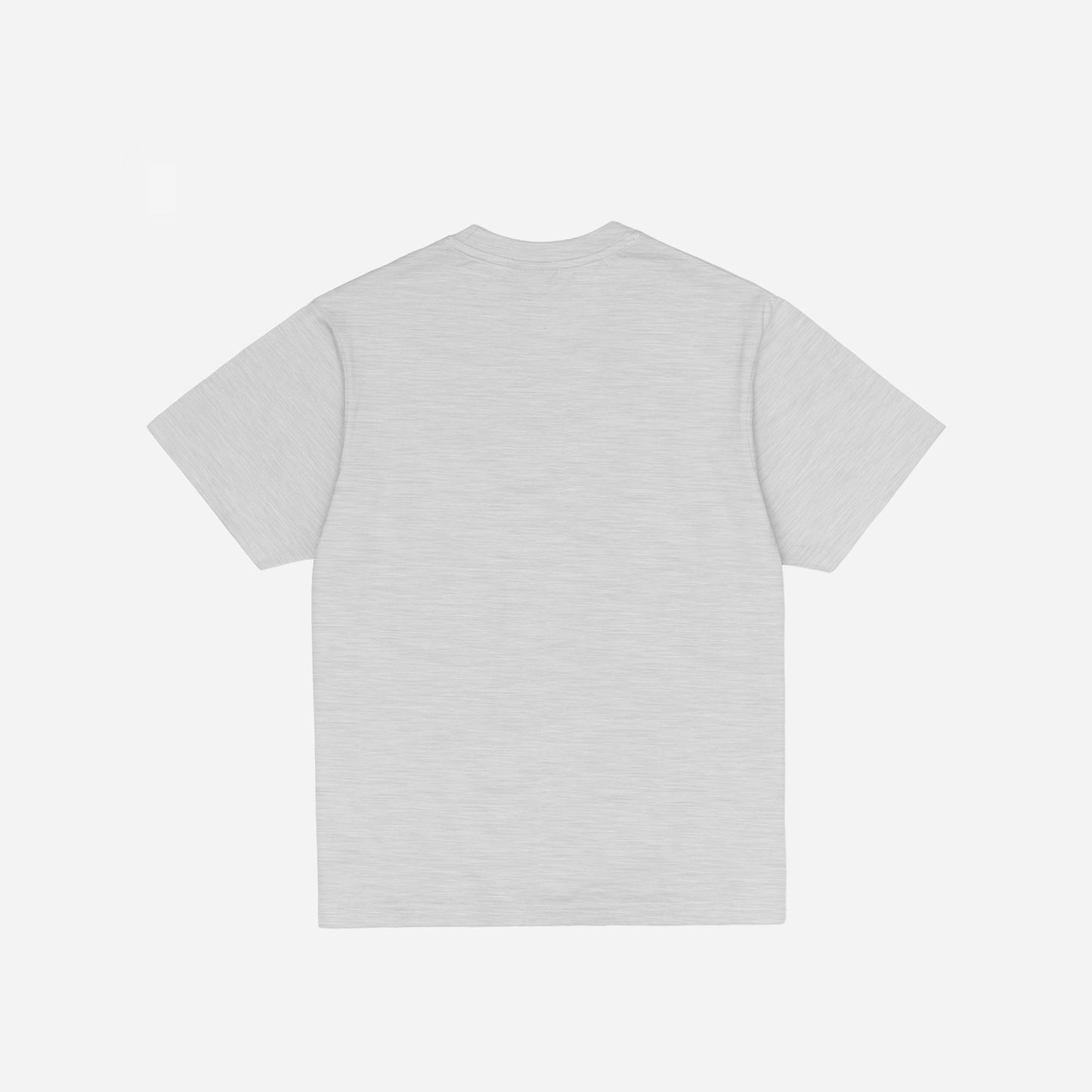 HOT DOGGY T-SHIRT - GREY